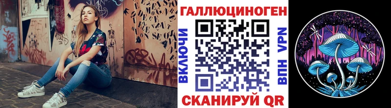 Купить закладки  Шелехов  Псилоцибиновые грибы Psilocybe 